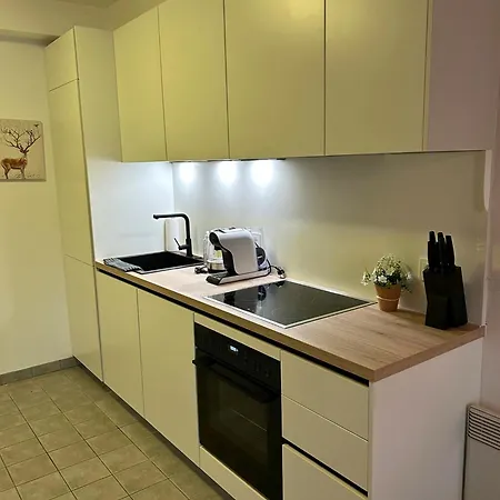 Mit Seeblick&seezugang Apartment